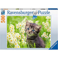 Ravensburger: Kitten in the Meadow 500pc