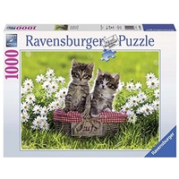 Ravensburger: Picnic in the Meadow Puzzle 1000pc