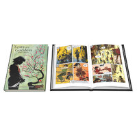 Graphic Novel Adventures: Tears of a Goddess