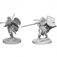 Pathfinder Deep Cuts Unpainted Minis — Female Human Paladin
