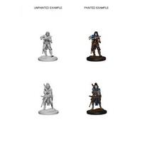 Pathfinder Deep Cuts Unpainted Minis — Female Elf Bard