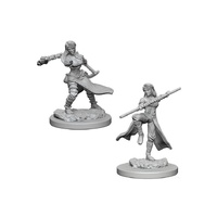 D&D Nolzurs Marvelous Unpainted Minis: Female Human Monk