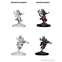 D&D Nolzurs Marvelous Unpainted Minis: Air Genasi Female Rogue