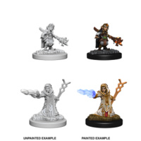 D&D Nolzurs Marvelous Unpainted Minis: Female Gnome Wizard