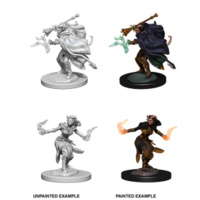 D&D Nolzurs Marvelous Unpainted Minis: Female Tiefling Warlock