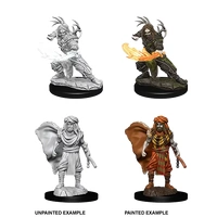 D&D Nolzurs Marvelous Unpainted Minis: Male Human Druid