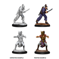 D&D Nolzurs Marvelous Unpainted Miniatures: Male Human Monk