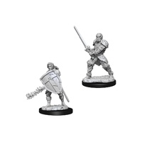 D&D Nolzurs Marvelous Unpainted Miniatures: Male Human Fighter