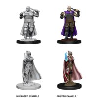 D&D Nolzurs Marvelous Unpainted Miniatures: Human Ranger & Moon Elf Sorcerer (Minsc & Delina)