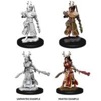 D&D Nolzurs Marvelous Unpainted Miniatures: Female Human Druid