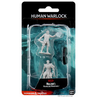 D&D Nolzurs Marvelous Unpainted Minis: Male Human Warlock
