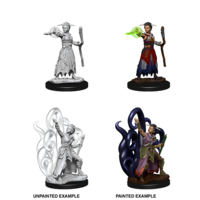 D&D Nolzurs Marvelous Unpainted Minis: Female Human Warlock