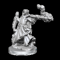 Dungeons & Dragons Frameworks: Dragonborn Sorcerer Female