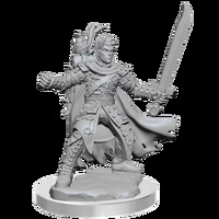 Dungeons & Dragons Frameworks: Half-Elf Ranger Male