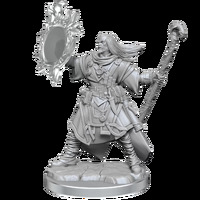 Pathfinder Legendary Cuts: Male Human Wizard