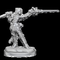 Pathfinder Legendary Cuts: Elf Rogue Female