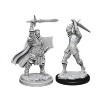 D&D Nolzurs Marvelous Unpainted Miniatures Male Human Paladin