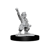 Pathfinder Deep Cuts Unpainted Miniatures Gnome Artificer Male