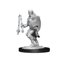 Pathfinder Deep Cuts Unpainted Miniatures Kalashtar Cleric Female