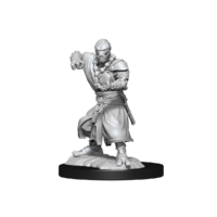 Pathfinder Deep Cuts Unpainted Miniatures Warforged Monk