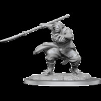 D&D Nolzurs Marvelous Unpainted Minis: Oni Female