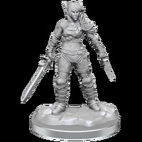D&D Nolzurs Marvelous Unpainted Miniatures: Elf Rogue & Half-Elf Rogue Protege
