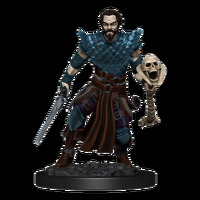 D&D Premium Painted Figures Human Warlock Male