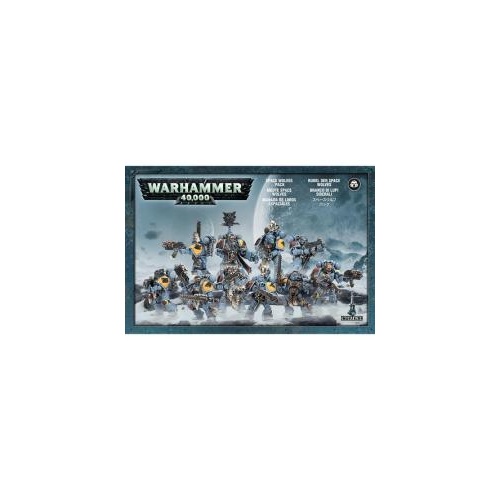 53-06 Space Wolves Grey Hunters