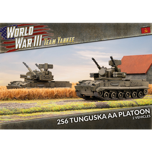 Soviet 2S6 Tunguska AA Platoon (x2)