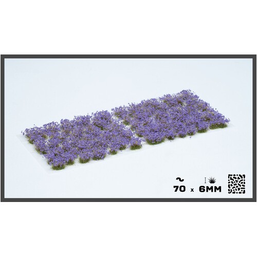 Violet Flowers (Wild)
