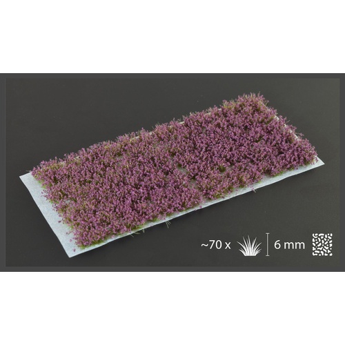 Lavender Flowers (Wild)