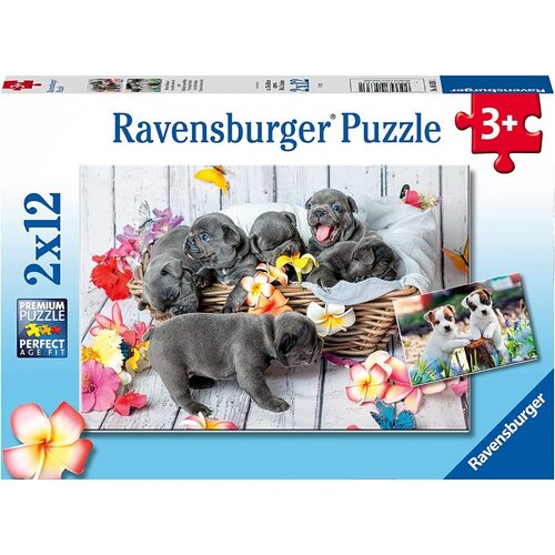 Ravensburger: Cute little furballs 2x12pc