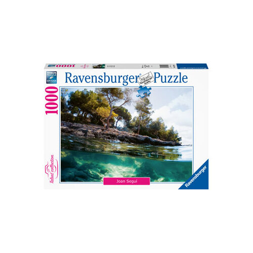 Ravensburger: Points of View 1000pc