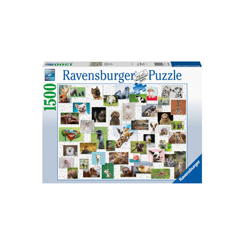 Ravensburger - Funny Animals Puzzle 1500pc
