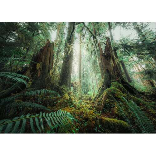 Ravensburger: In the Forest 1000pc