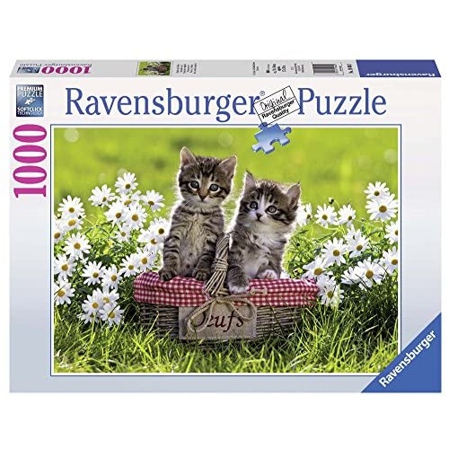 Ravensburger: Picnic in the Meadow Puzzle 1000pc