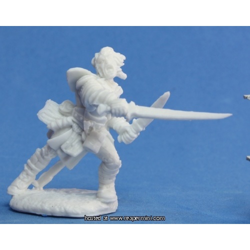 Pathfinder Bones: 89007 Valeros, Iconic Male Fighter