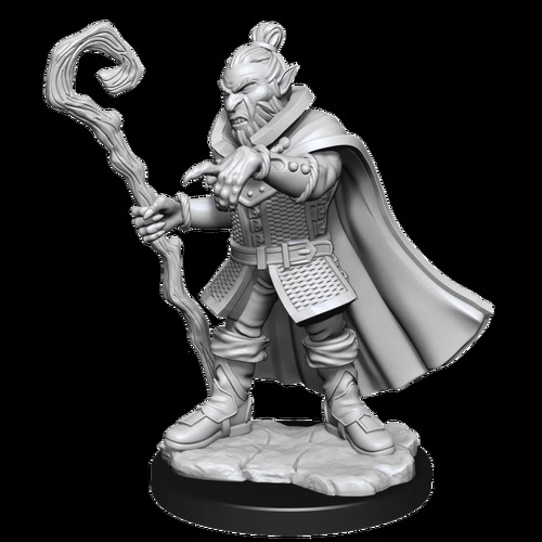 Critical Role: Unpainted Miniatures - Hobgoblin Wizard and Druid Male